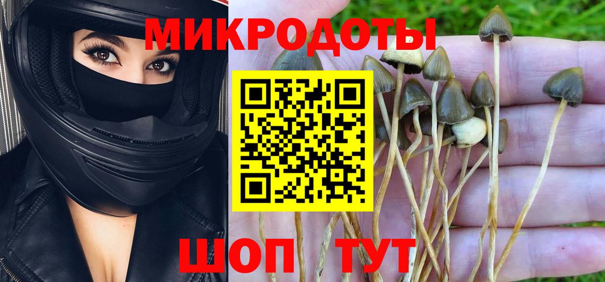 Дагестанские Огни  Галлюциногенные грибы мицелий  Вход с VPN 